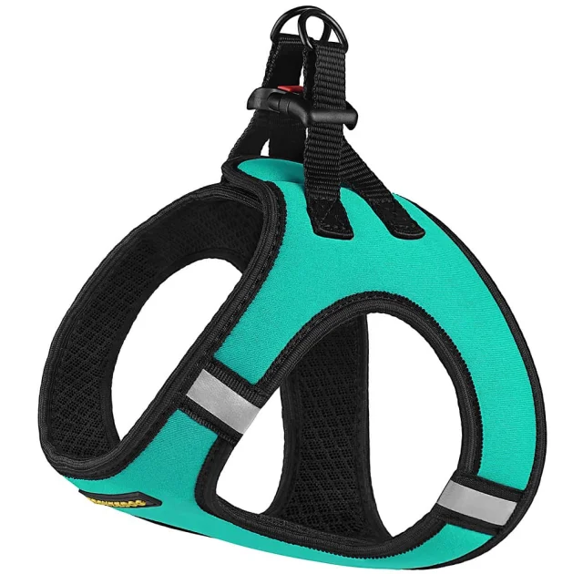 Шлея BronzeDog Sport Vest для собак з нейлону, неопрену і 3D сітки, ментоловий, 26-29 см