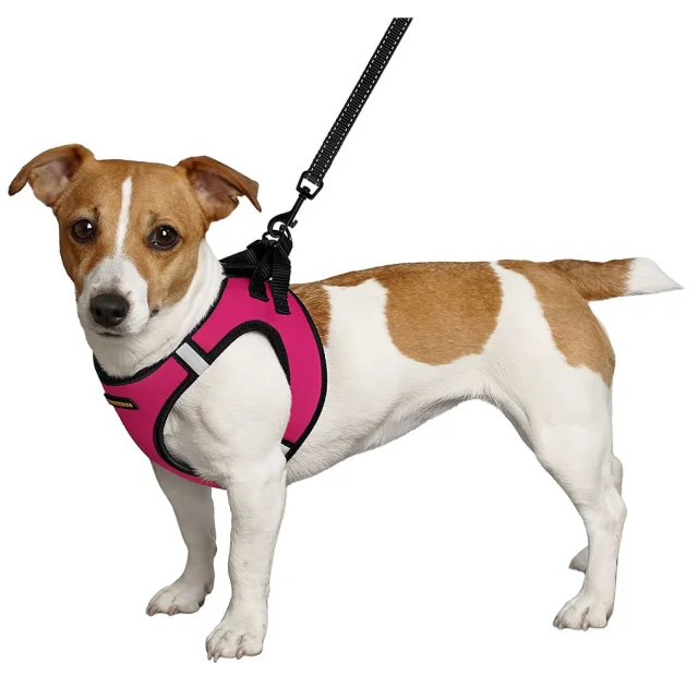 Шлея BronzeDog Sport Vest для собак з нейлону, неопрену і 3D сітки, рожевий, 24-26 см