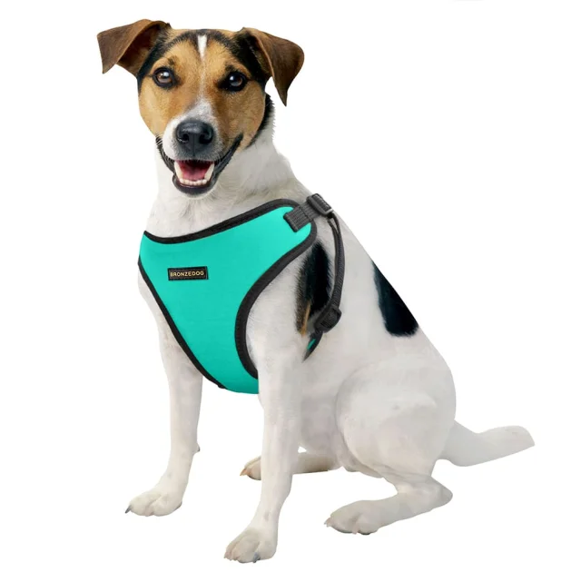 Шлея BronzeDog Sport для собак з неопрена, бірюзовий, 28-33 см