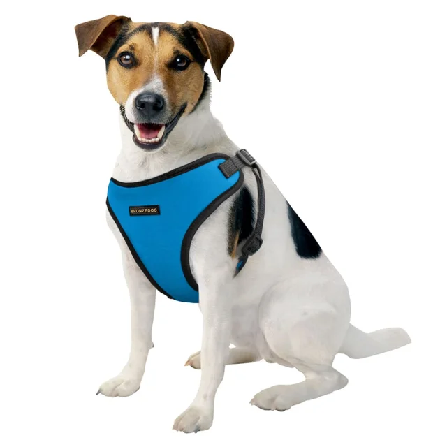 Шлея BronzeDog Sport для собак з неопрена, блакитний, 40-46 см
