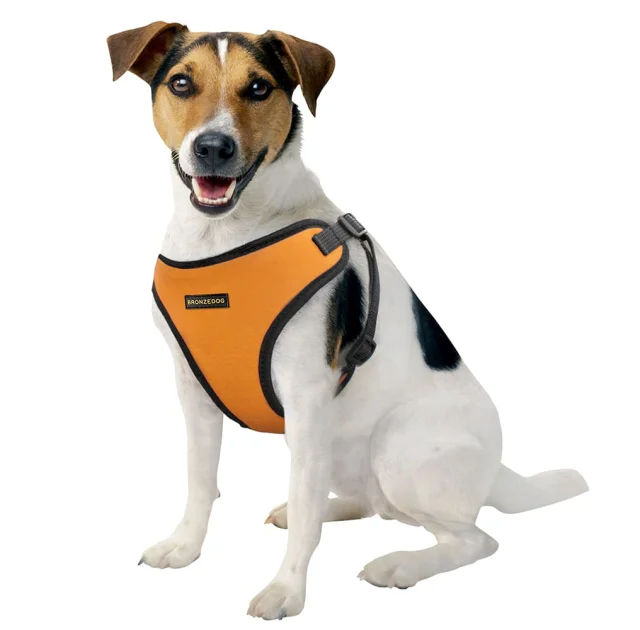 Шлея BronzeDog Sport для собак з неопрена, помаранчевий, 28-33 см