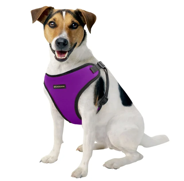 Шлея BronzeDog Sport для собак з неопрена, фіолетовий, 28-33 см