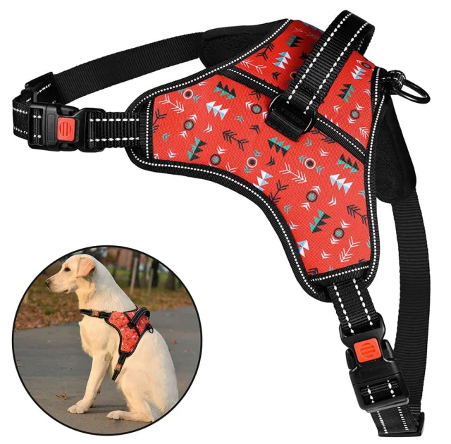 Шлея BronzeDog Urban Comfort для собак, принт инки, 48-58 см, 53-70 см