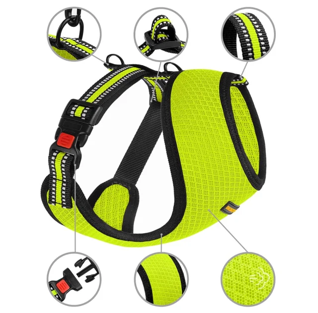 Шлея BronzeDog Mesh для собак дрібних порід, сітчастий нейлон, лимонний, 35-38 см