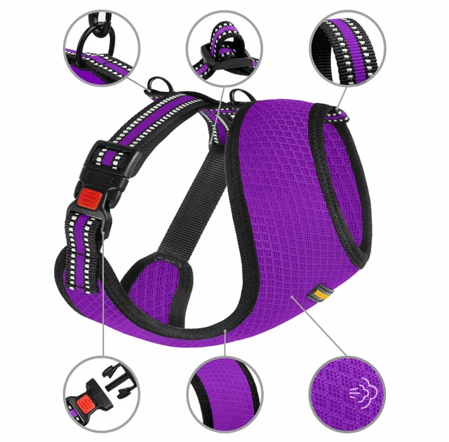 Шлея BronzeDog Mesh для собак дрібних порід, сітчастий нейлон, фіолетовий, 35-38 см