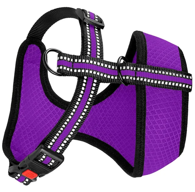 Шлея BronzeDog Mesh для собак дрібних порід, сітчастий нейлон, фіолетовий, 35-38 см