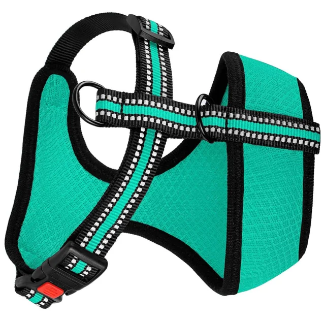 Шлея BronzeDog Mesh для собак дрібних порід, сітчастий нейлон, ментоловий, 28-33 см