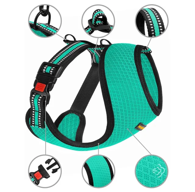 Шлея BronzeDog Mesh для собак дрібних порід, сітчастий нейлон, ментоловий, 40-46 см