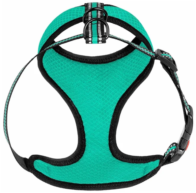 Шлея BronzeDog Mesh для собак дрібних порід, сітчастий нейлон, ментоловий, 40-46 см