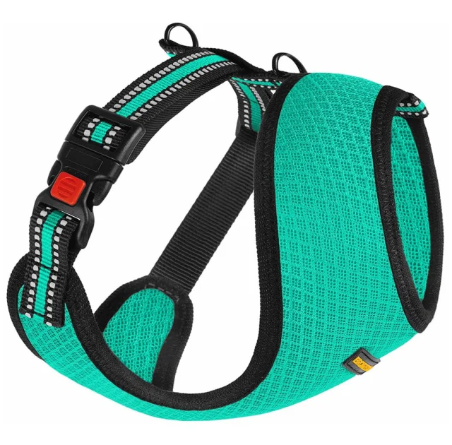 Шлея BronzeDog Mesh для собак дрібних порід, сітчастий нейлон, ментоловий, 40-46 см