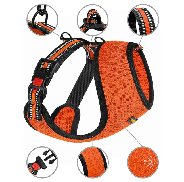 Шлея BronzeDog Mesh для собак дрібних порід, сітчастий нейлон, помаранчевий, 40-46 см