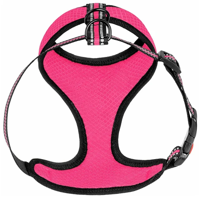 Шлея BronzeDog Mesh для собак дрібних порід, сітчастий нейлон, рожевий, 40-46 см