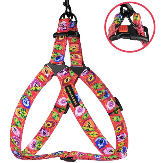 Шлея BronzeDog Folk для собак, нейлон з нашивкою, принт квіти, кораловий, 58-71 см