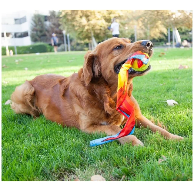 Іграшка для собак Outward Hound Comet Fetch Ball М'яч-комета, велика, 27×13×6.35 см