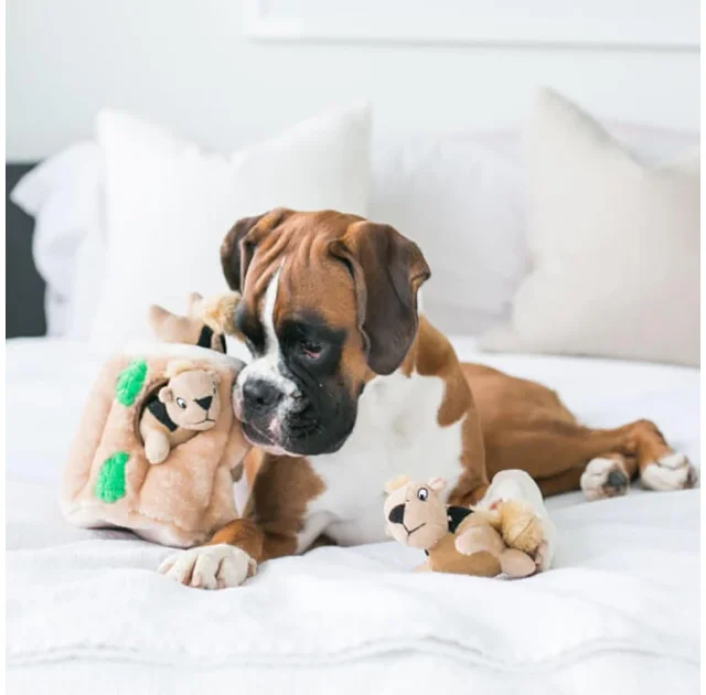 Интерактивная игрушка для собак Outward Hound Hide-A-Squirrel, большая, коричневая, 18×20 см