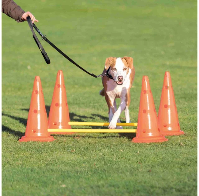 Набор препятствий Trixie Dog Activity для собак, пластик, оранжевый и жёлтый, 100 см, 30×50 см