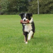 Охотничий манекен-сумка Trixie для собак, для дрессировок, коричневый, 6×14 см