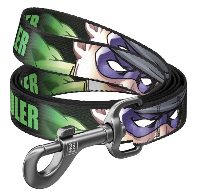 Поводок Waudog Nylon для собак, рисунок Загадочник, нейлоновый, 10 мм/122 см