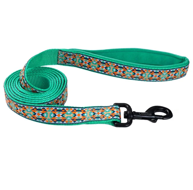 Поводок Coastal Ribbon Weave Leash для собак, темно-бирюзовый с косточками, 180×2.5 см