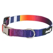 Нашийник AnimAll L-3, для собак, нейлон, 2.5×40-65 см