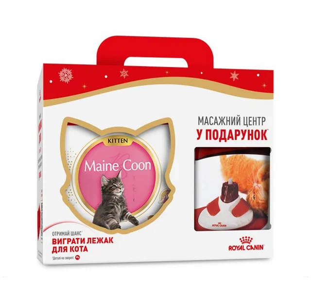 Сухий корм Royal Canin Maine Coon Kitten для кошенят мейн-кунів, 4 кг + масажний центр у подарунок