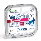 Вологий корм Monge VetSolution Recovery feline для котів, для відновлення харчування під час одужання, 100 г