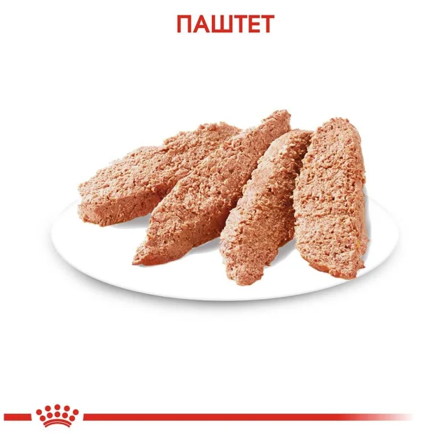 Вологий корм Royal Canin Coat Care для собак з тьмяною і сухий шерстю, паштет, 85 г