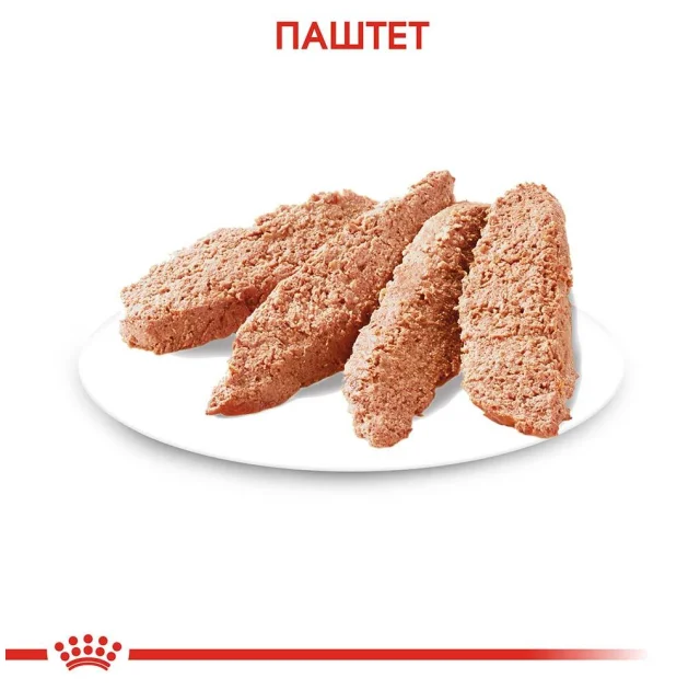 Вологий корм Royal Canin Light Weight Care для собак схильних до ожиріння, паштет, 85 г