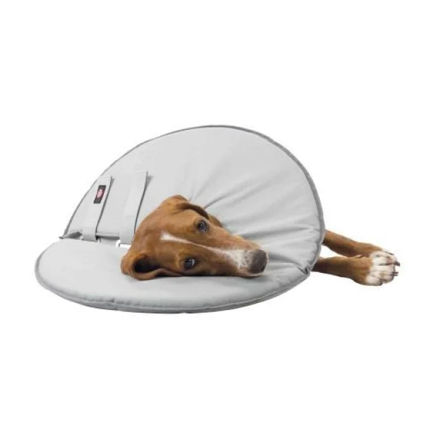 Нашийник Trixie Active, для собак, 18-21 см, 11 мм, сірий