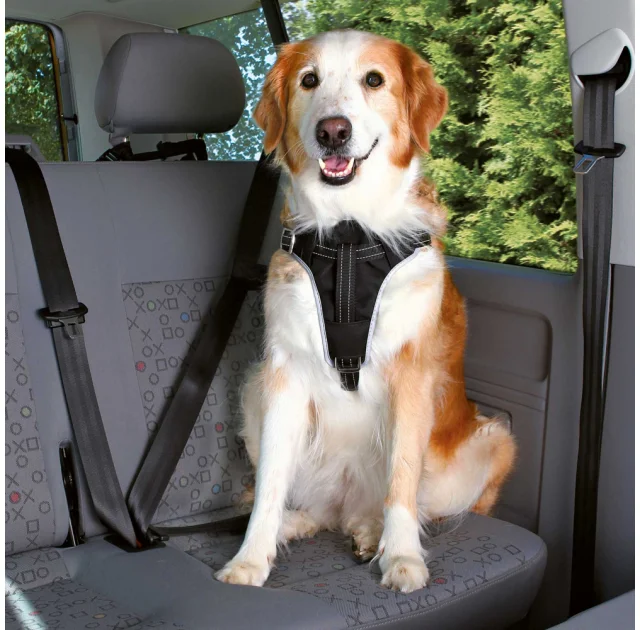 Шлея в авто Trixie Dog Protect для собак чёрный, 20 мм, 50-65 см