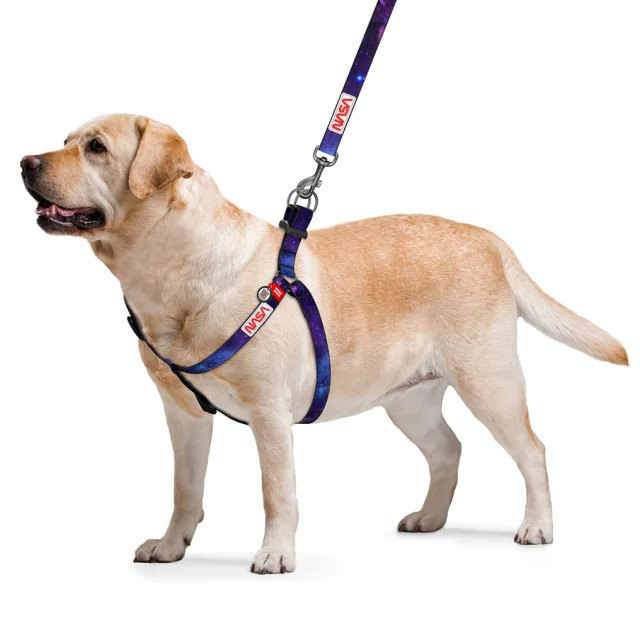 Шлея WAUDOG NYLON с QR-паспортом, для собак, рисунок "NASA21", нейлон, размер S, 15 мм/40-55 см