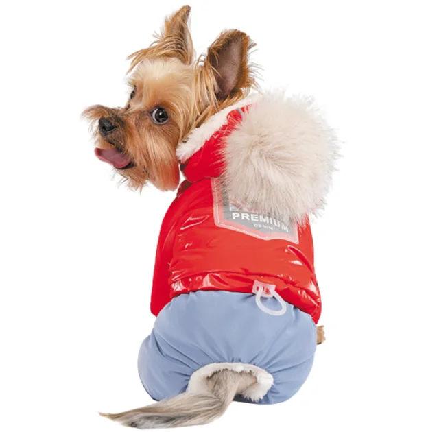 Комбинезон Pet Fashion Pretty для собак, костюм девочка, размер XXS