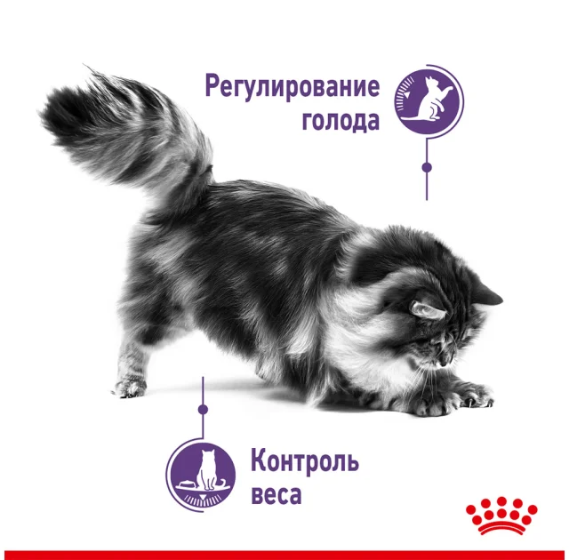 Сухой корм Royal Canin Appetite Control Care для стерилизованных кошек, 3.5 кг