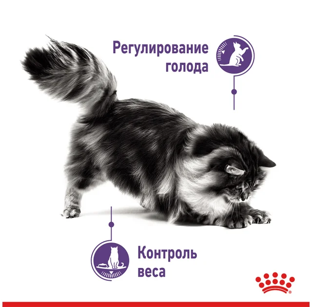 Вологий корм Royal Canin Appetite Control Care шматочки в желе, для стерилізованих котів, 85 г