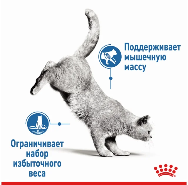 Вологий корм Royal Canin Light Weight Care шматочки в желе, для котів схильних до зайвої ваги, 85 г