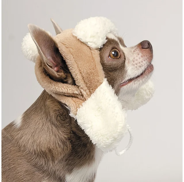 Шапка Pet Fashion Bubo для собак, размер S, бежевый