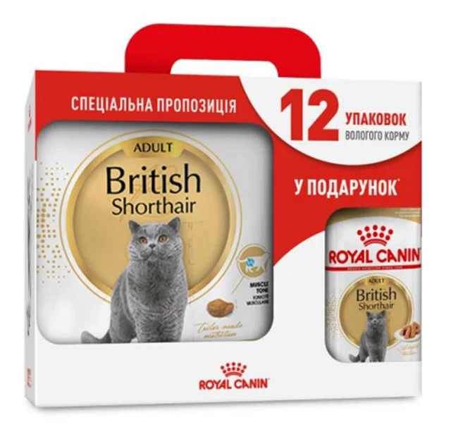 Сухий корм Royal Canin British Shorthair Adult для британських короткошерстих кішок, 4 кг + 12 паучів у подарунок