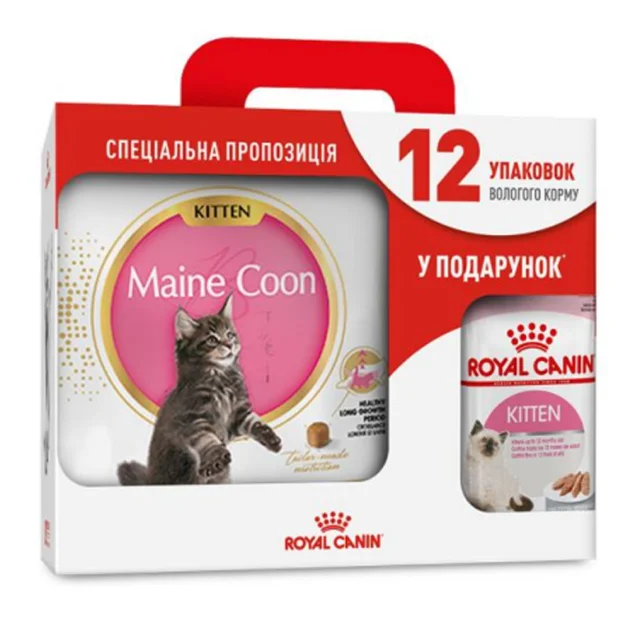 Сухий корм Royal Canin Maine Coon Kitten для кошенят мейн-кунів до 15 місяців, 4 кг + 12 паучів у подарунок