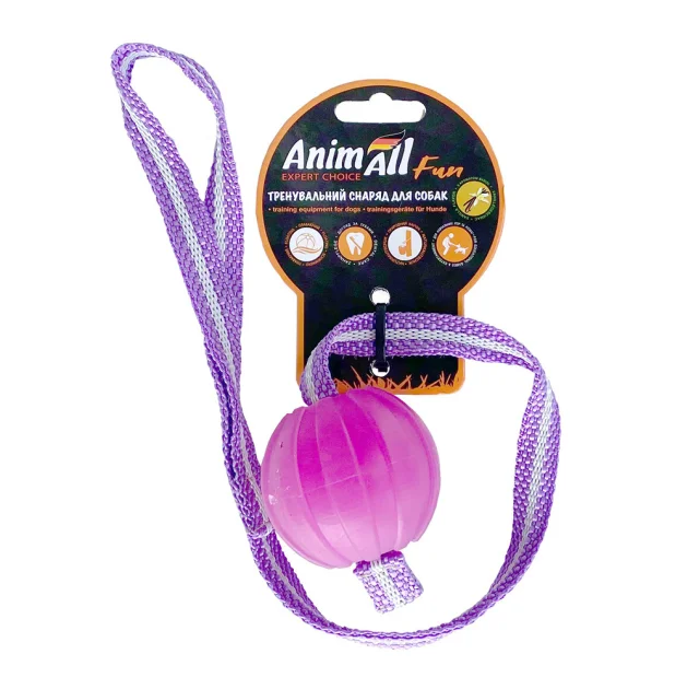 Іграшка AnimAll Fun для собак, тренінг м'яч зі шлейкою, 6 см, фіолетова