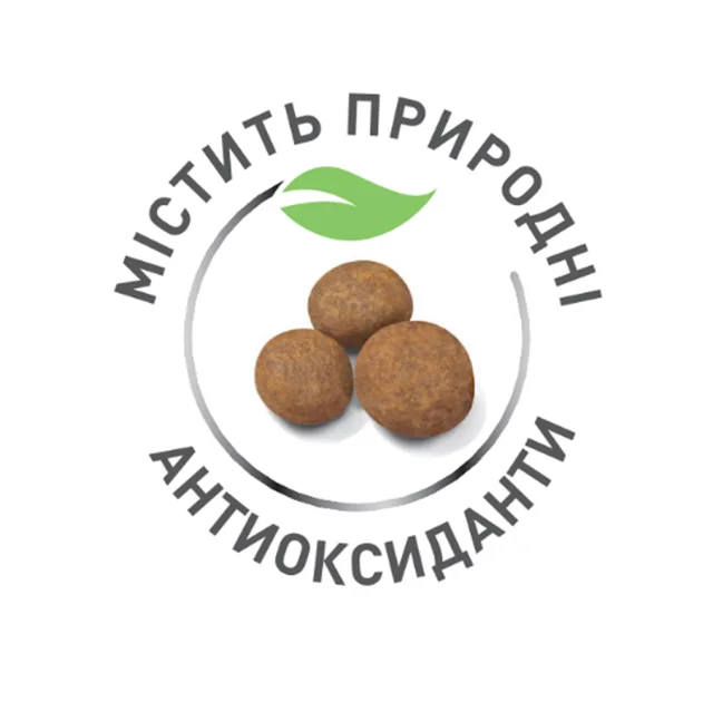 Сухий корм Royal Canin Maxi Puppy для цуценят великих порід з 2 до 15 місяців, 15 кг