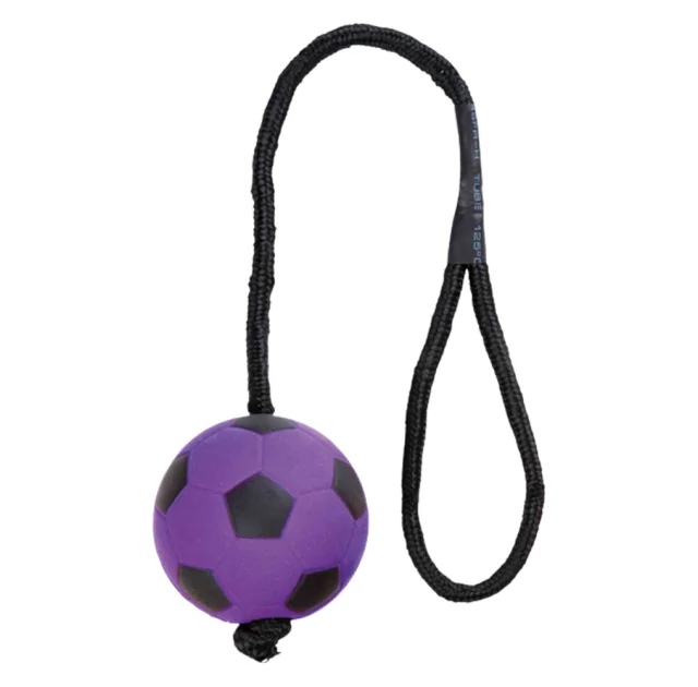Іграшка м'яч на канаті Trixie для собак, діаметр 6 см, довжина каната - 30 см, колір в асортименті