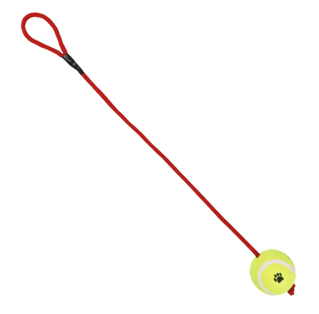 Іграшка Trixie тенісний м'яч на мотузці, для собак, 6 см, 50 см