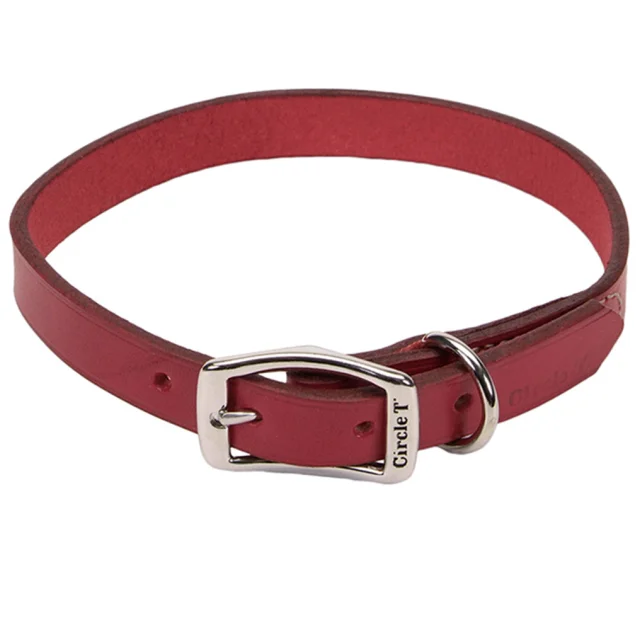Кожаный ошейник Coastal Circle T Leather Town для собак, красный, 2.5×55 см