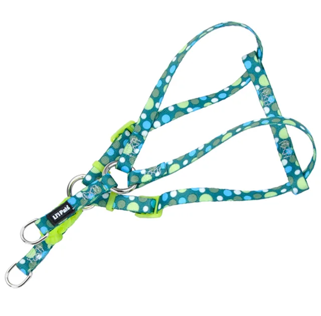 Нейлоновая шлея Coastal Lit'l Pals для собак, бирюзовый, 0.7×35 см
