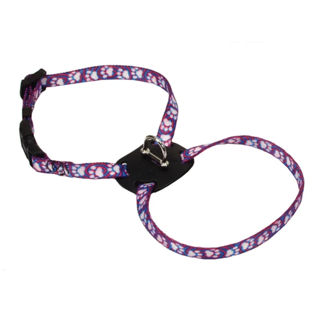 Нейлоновая шлея Coastal Lit'l Pals для собак, лапа, 0.8×15-25 см