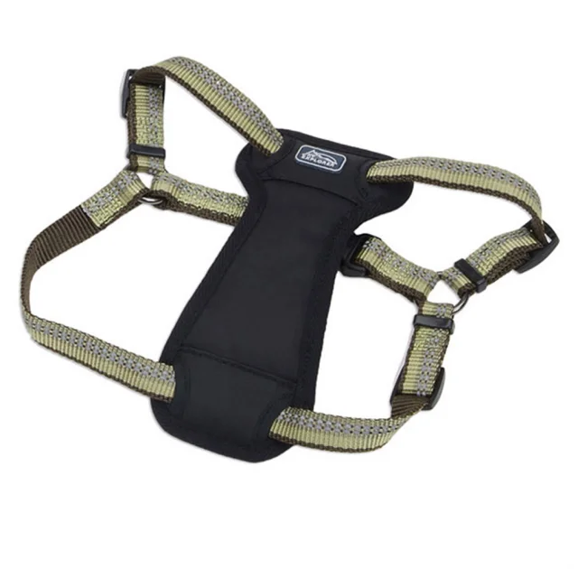 Нейлоновая шлея Coastal K9 Explorer c нагрудником, для собак, зеленый, 2.5×50-75 см