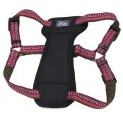 Нейлоновая шлея Coastal K9 Explorer c нагрудником, для собак, малиновый, 2.5×65-95 см