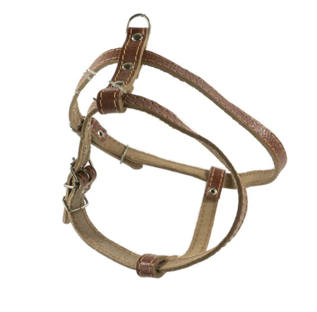 Шлейка Cristel для собак, кожа зенит, лакированная, "пикинеса", 14 мм / 30-40 см / 38-48 см, коньяк