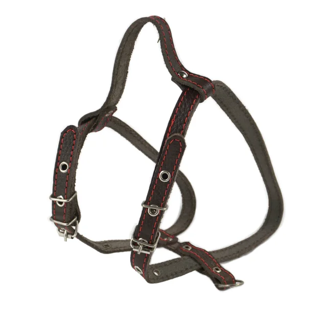 Шлейка Cristel для собак, кожа зенит, лакированная, "пикинеса", 14 мм / 30-40 см / 38-48 см, коричневый