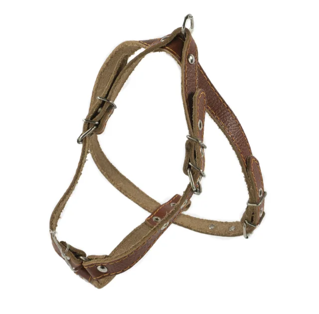 Шлейка Cristel для собак, кожа зенит, лакированная, прошитая, с нагрудником, 16 мм / 32-48 см / 50-58 см, коньяк